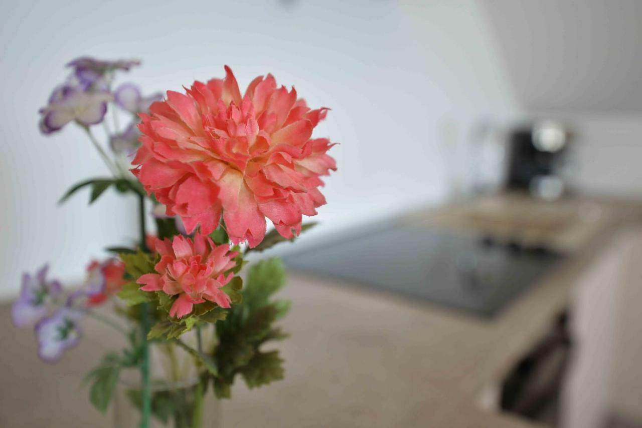 Apartmani Mikin เบทินา ภายนอก รูปภาพ